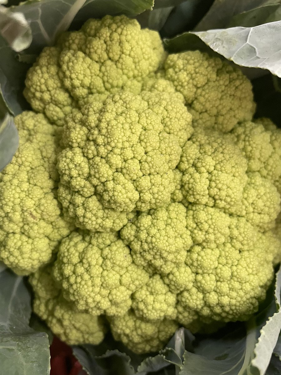 mengemBages tweet media