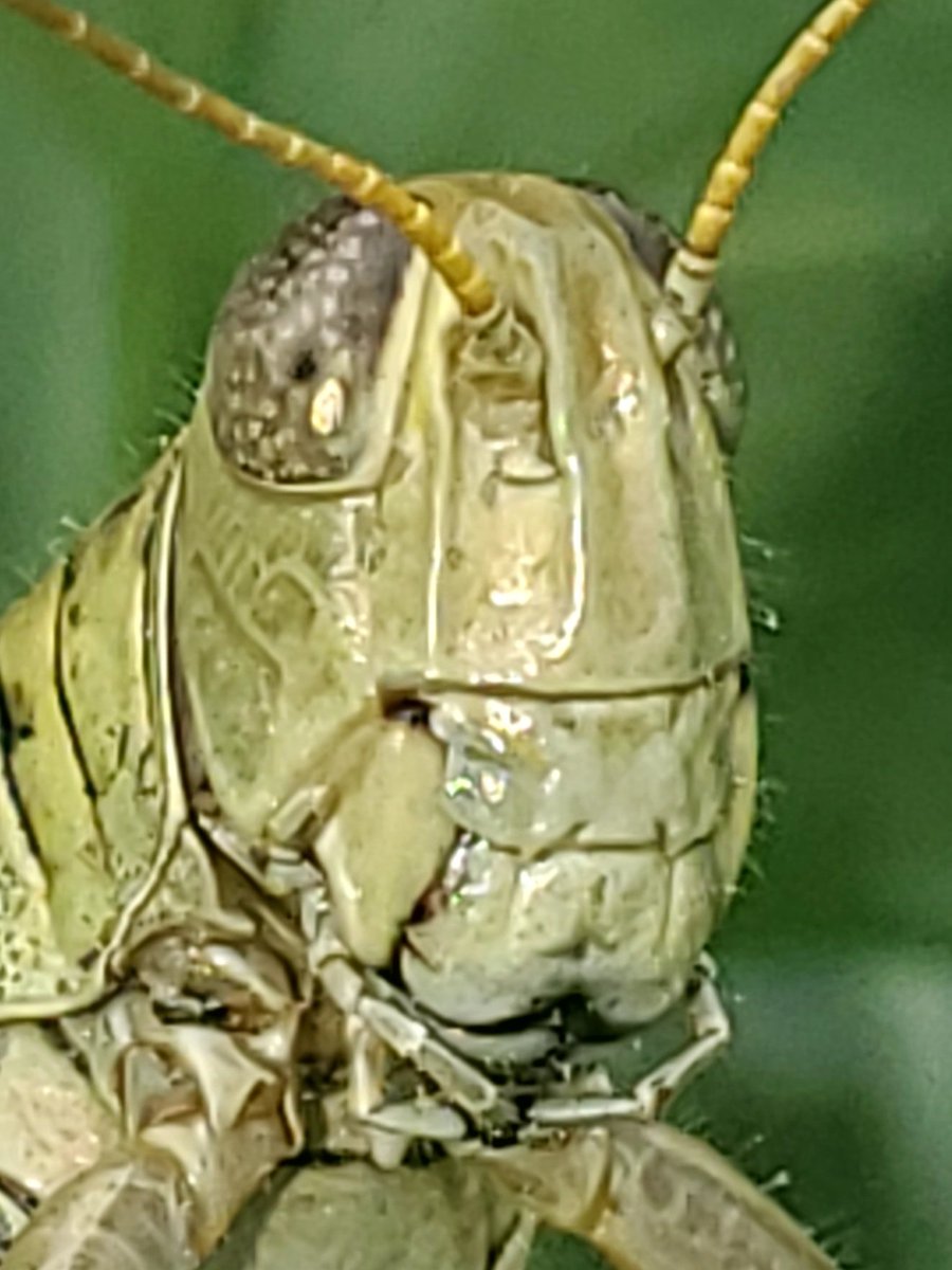 paul mars tweet media