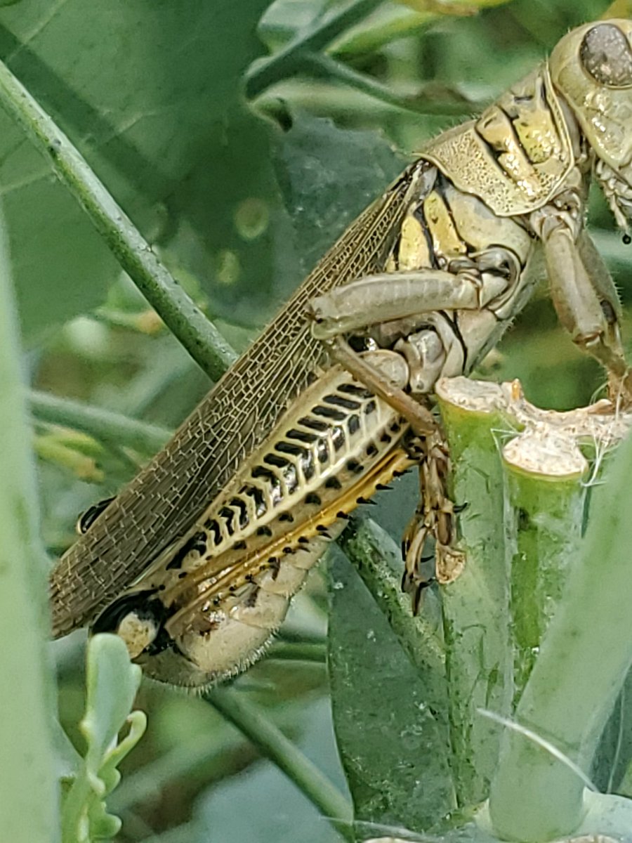 paul mars tweet media