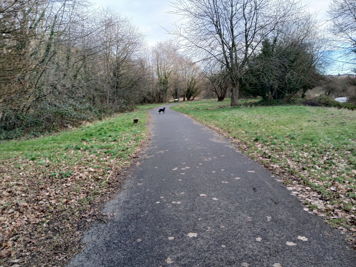 paulcli's tweet image. First run today for a few days after a short break to the coast. 3.5 miles in a pace of 10:19 pace :)