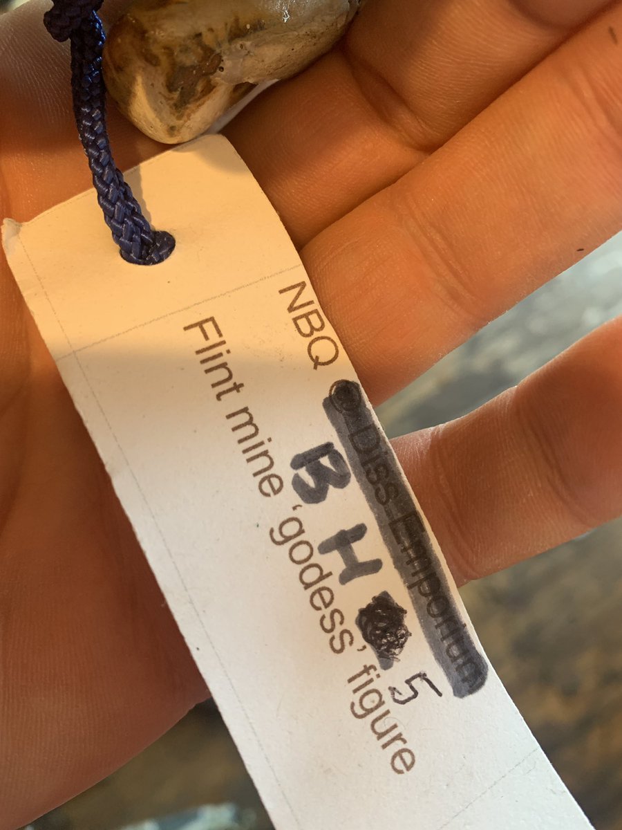 Andy Coates tweet media