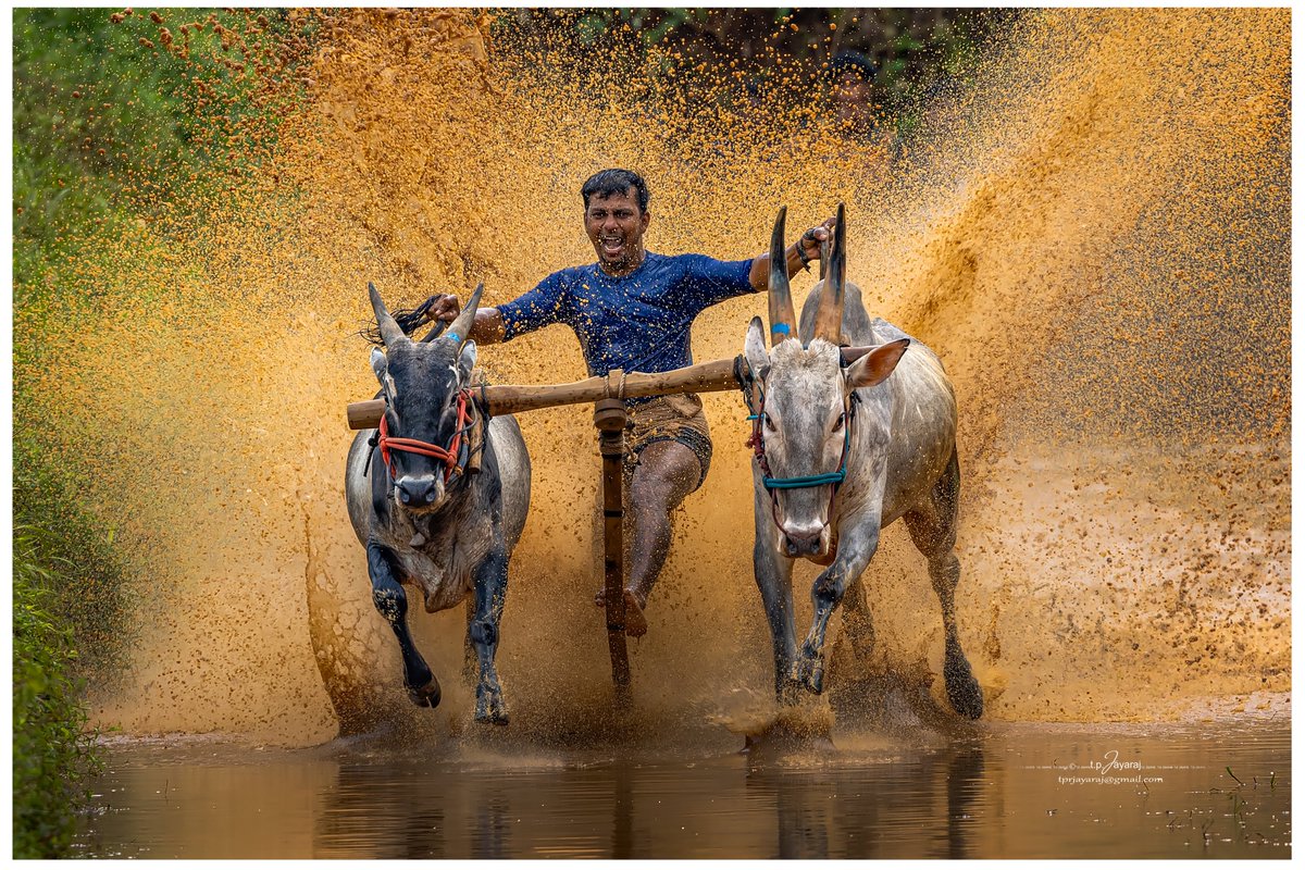 tprjayaraj's tweet photo. POWER of SPLASH   

#CollectibleMoments moment on @remx_xyz 

Check out this new moment on Remx! Only available for 24 hours.       

Link below. 🔗
https://t.co/vCQLe4Pspd https://t.co/7BOc2zZdnk