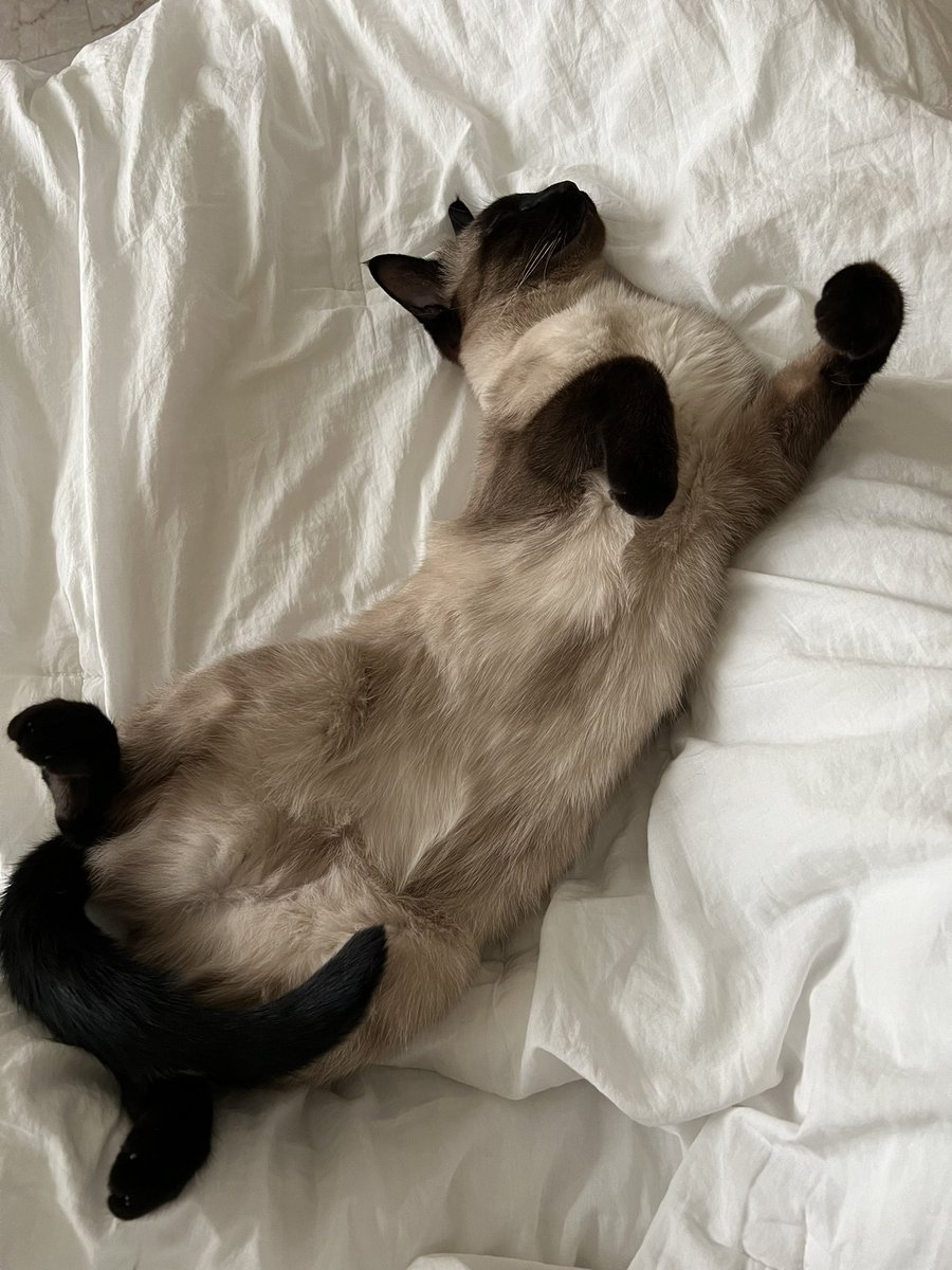 내애기 사랑해 잘자