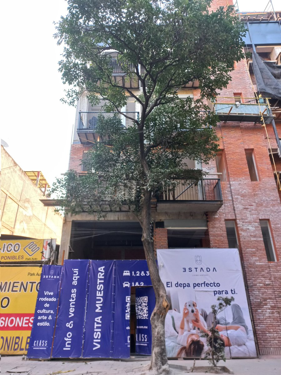 LaColoniaJuarez's tweet photo. Estaremos atentos a que #Estada no tale el árbol que está justo frente a uno de sus accesos y que respete la jardinera afuera del portón que, por cierto, sobresale unos 30 cm. hacia la acera. 
¿Nos ayudan dando seguimiento, @alccuauhtemocmx
@DTJSR_Cuauh @PAOTmx? Gracias. https://t.co/ThKsxWEm2r