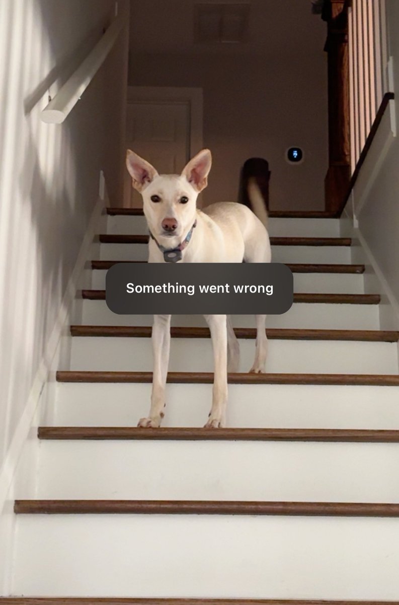 chuuper yuppers tweet media