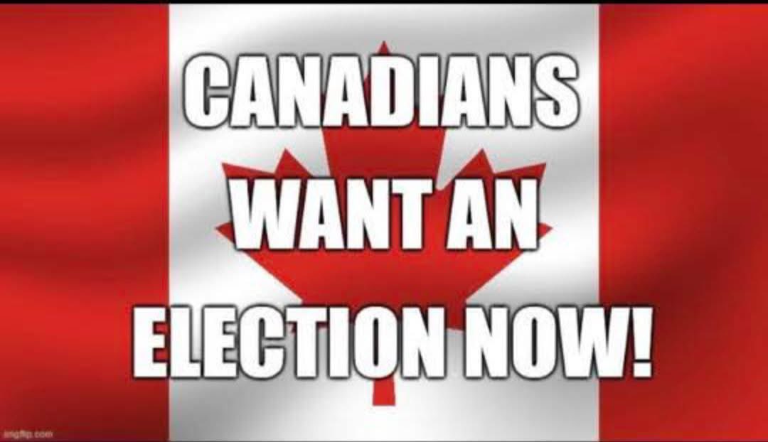 Browneyedgal935's tweet photo. #trudeaumustresign #TrudeauDestroyingCanada #TrudeauMustGo #TrudeauForTreason #TrudeauIsACoward #TrudeauPOS https://t.co/XW9ONeGgLp