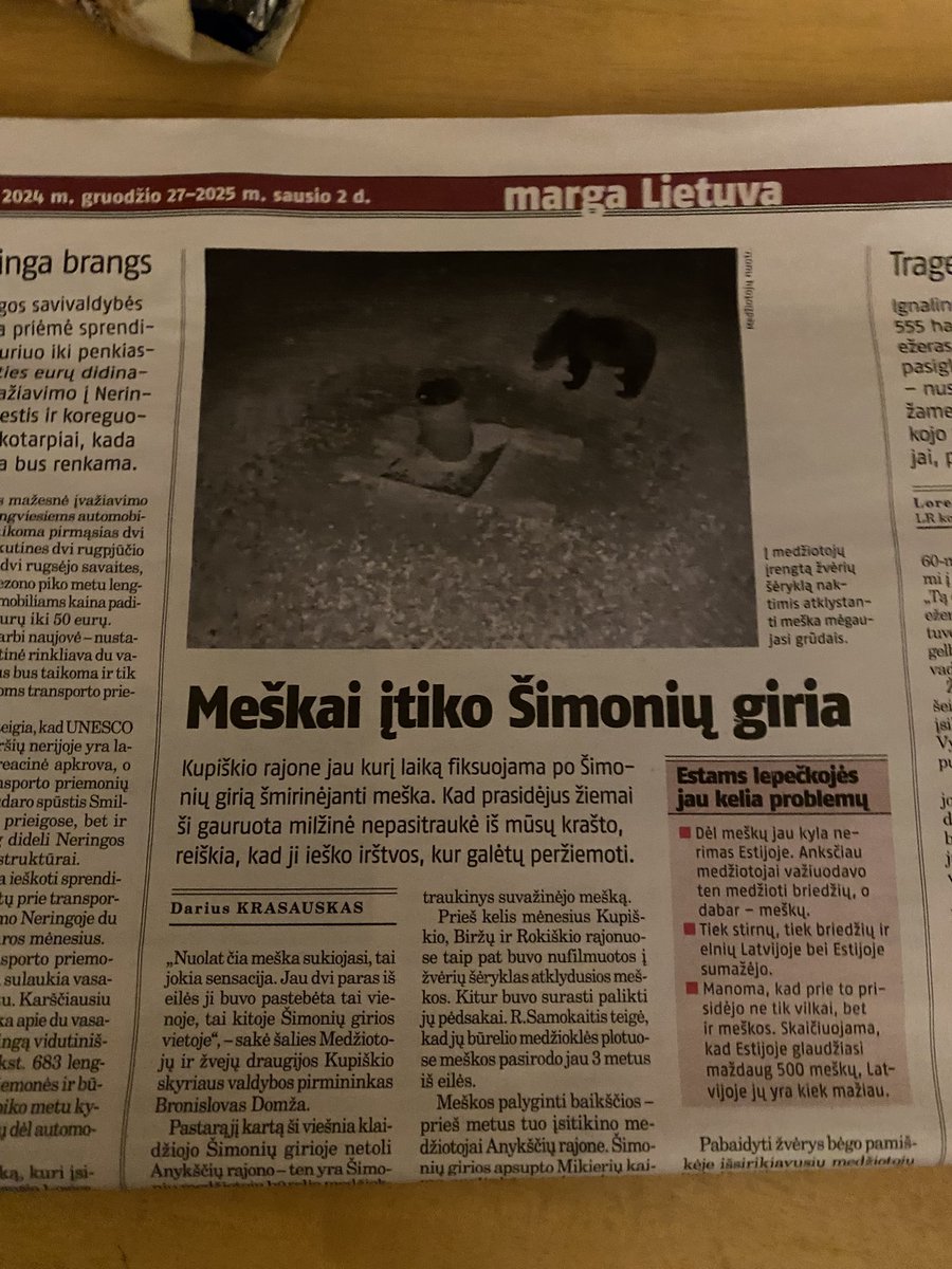 First bear in years to remain in Lithuania for hibernation!!