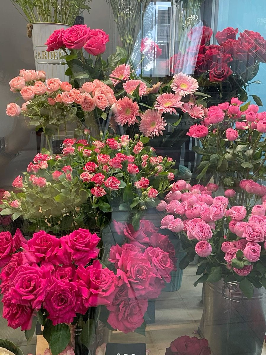 i3Moment's tweet photo. Pink flowers https://t.co/OqFJUmpvpF
