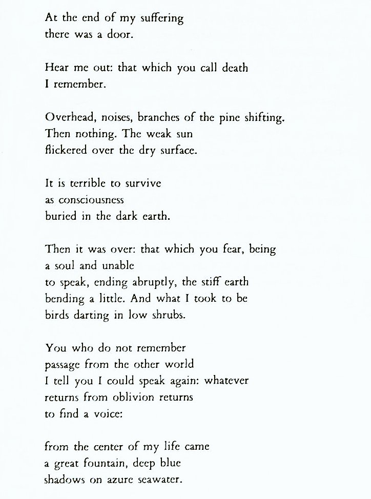 Cian McCarthy tweet media