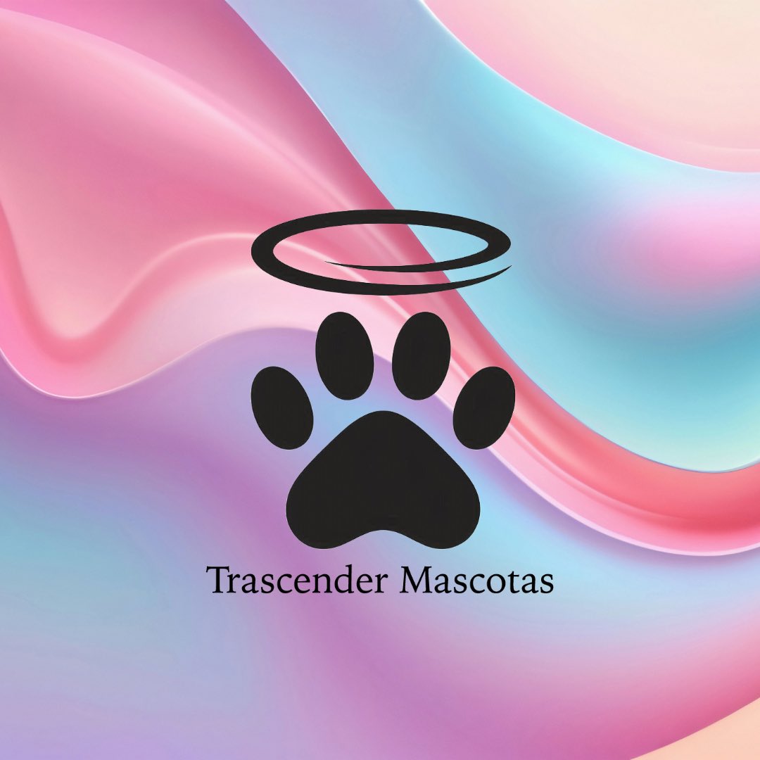 trascender2024's tweet image. AdiósEcológico #MascotasEternas #AmorPorLaNaturaleza #Urnas #Bio #Veterinarios #Veterinarias #Diseños