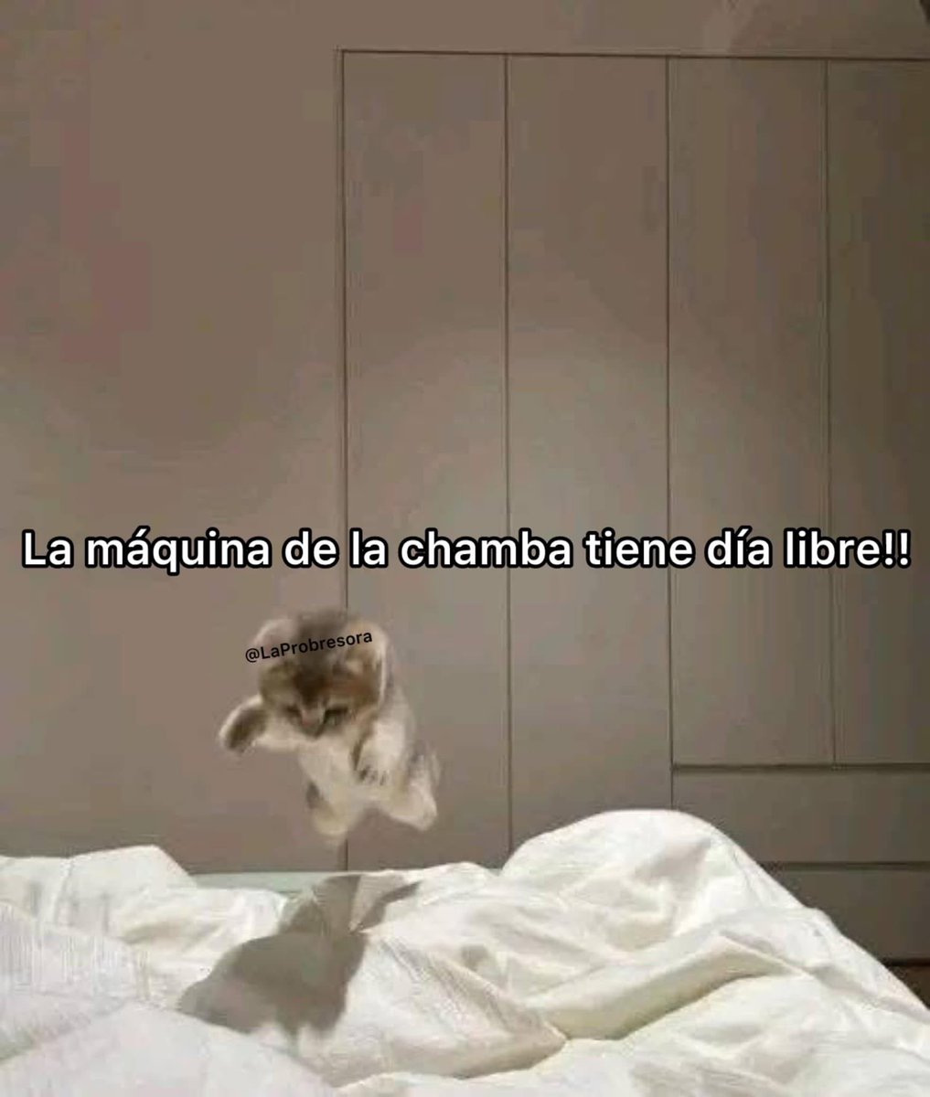 Hoy es lunes de vacacionar.