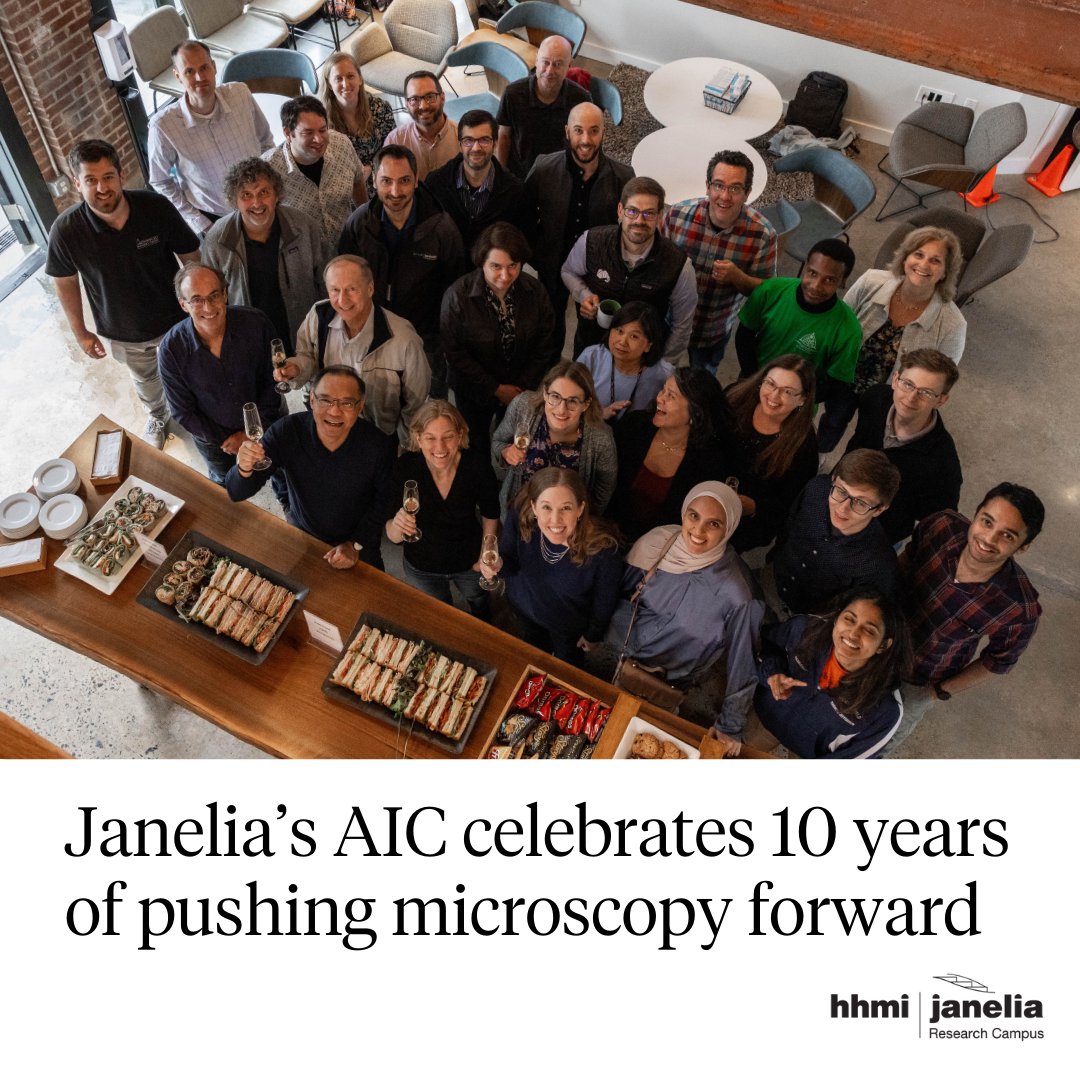 HHMI | Janelia (@hhmijanelia) on Twitter photo <a href="/HHMINEWS/">HHMI</a> <a href="/nspruston/">Nelson Spruston</a> <a href="/GoogleDeepMind/">Google DeepMind</a> <a href="/JLS_Lab/">Lippincott-Schwartz Lab</a> <a href="/CarnegieMellon/">Carnegie Mellon University</a> <a href="/Eric_Betzig/">Eric Betzig</a> <a href="/InventorsHOF/">Inventors HOF</a> 9️⃣ Janelia’s Advanced Imaging Center (<a href="/AICjanelia/">AIC at Janelia</a>) marked 10 years of pushing microscopy forward. Since 2014, the AIC has given hundreds of researchers access to cutting-edge microscopes, at no cost. 🔬
janelia.org/news/janelias-… <a href="/HHMINEWS/">HHMI</a> <a href="/nspruston/">Nelson Spruston</a> <a href="/GoogleDeepMind/">Google DeepMind</a> <a href="/JLS_Lab/">Lippincott-Schwartz Lab</a> <a href="/CarnegieMellon/">Carnegie Mellon University</a> <a href="/Eric_Betzig/">Eric Betzig</a> <a href="/InventorsHOF/">Inventors HOF</a> 9️⃣ Janelia’s Advanced Imaging Center (<a href="/AICjanelia/">AIC at Janelia</a>) marked 10 years of pushing microscopy forward. Since 2014, the AIC has given hundreds of researchers access to cutting-edge microscopes, at no cost. 🔬
janelia.org/news/janelias-…