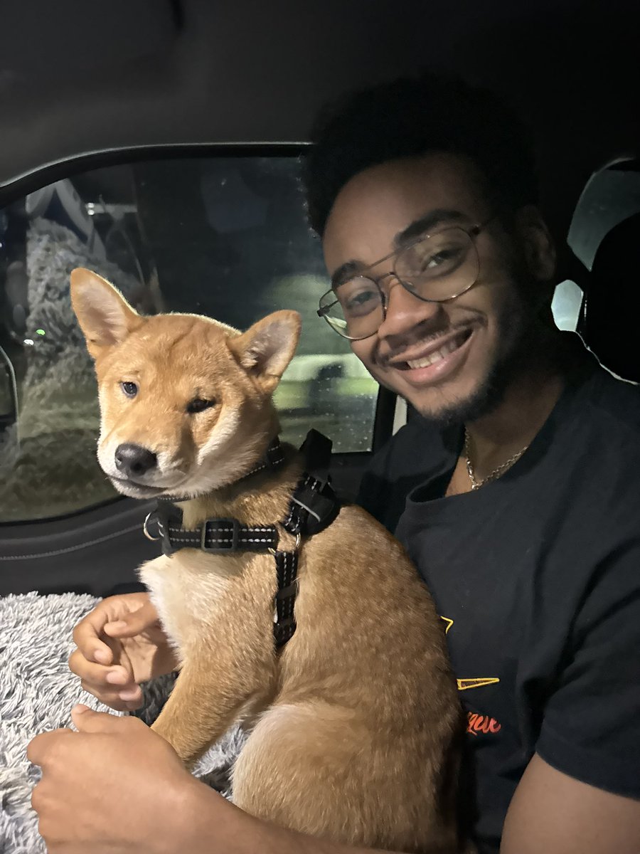 JOSH (@joshceojw) on Twitter photo This is your sign to invest in #shiba and #doge! Or you will get peed on….like I did This is your sign to invest in #shiba and #doge! Or you will get peed on….like I did