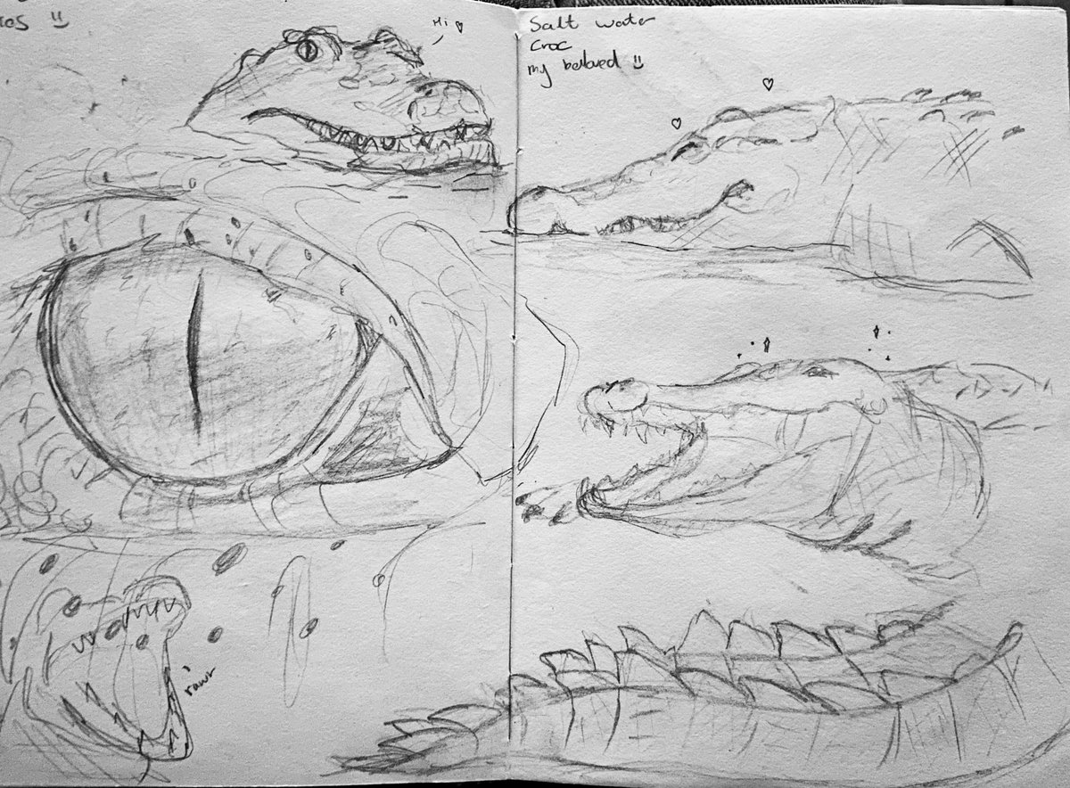_snakesart_'s tweet photo. CROC SKETCHES HEHE 
[#crocodile #saltwatercroc #art ] https://t.co/upzyfAEGaa