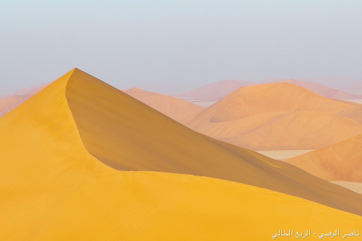 من أبرز ما يميز #الربع_الخالي التنوع المذهل في ألوان رماله وتداخلها، فتجد الكثبان المتجاورة -وأحياناً المتلاصقة- تختلف ألوانها تماماً! وهذا من أكثر ما يدهشني في كل زيارة.
The Empty Quarter, Saudi Arabia 🇸🇦