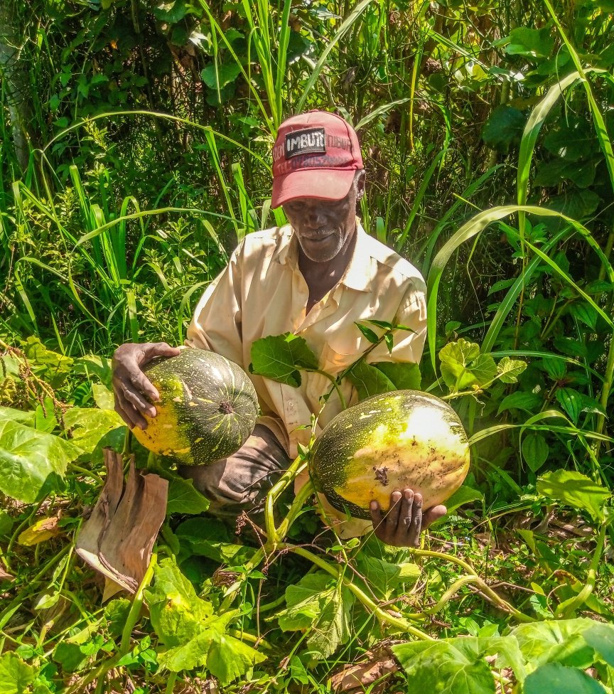 GaetanNZ's tweet image. Today鈥檚 field visit was productive. I visited a farmer in Ruhango District who specializes in cultivating fruits, vegetables, and flowers. Among the fruits, the farmer grows mangoes, chili peppers, strawberries and pumpkins.
Thread 猡碉笍
#FoodSecurity
#InnovationInAgriculture
