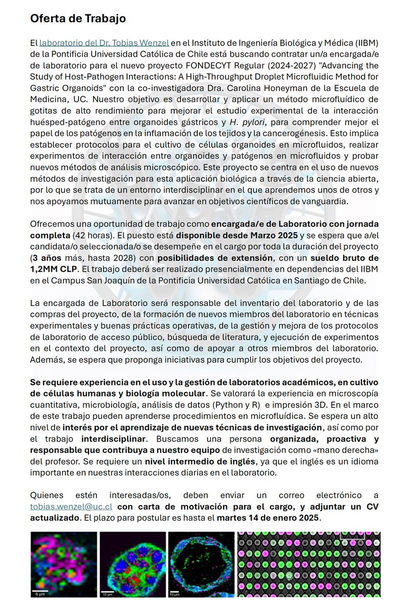 ¡Buscamos una nueva colega en el Laboratorio! wenzel-lab.github.io/es/