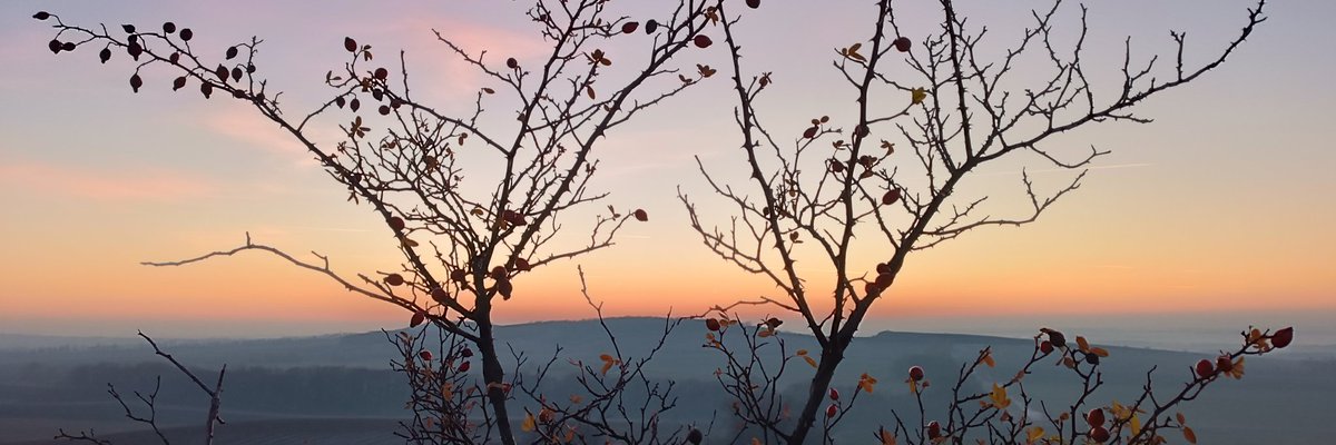 Já z Brna ☯️💆 (@tata_z_brna) on Twitter photo 