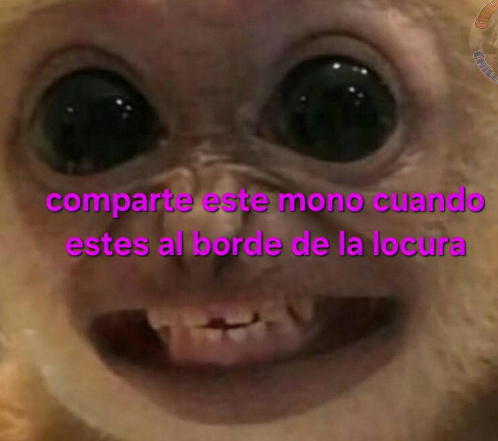 Maestre Mapaxito (@mapaxitouwu) on Twitter photo 