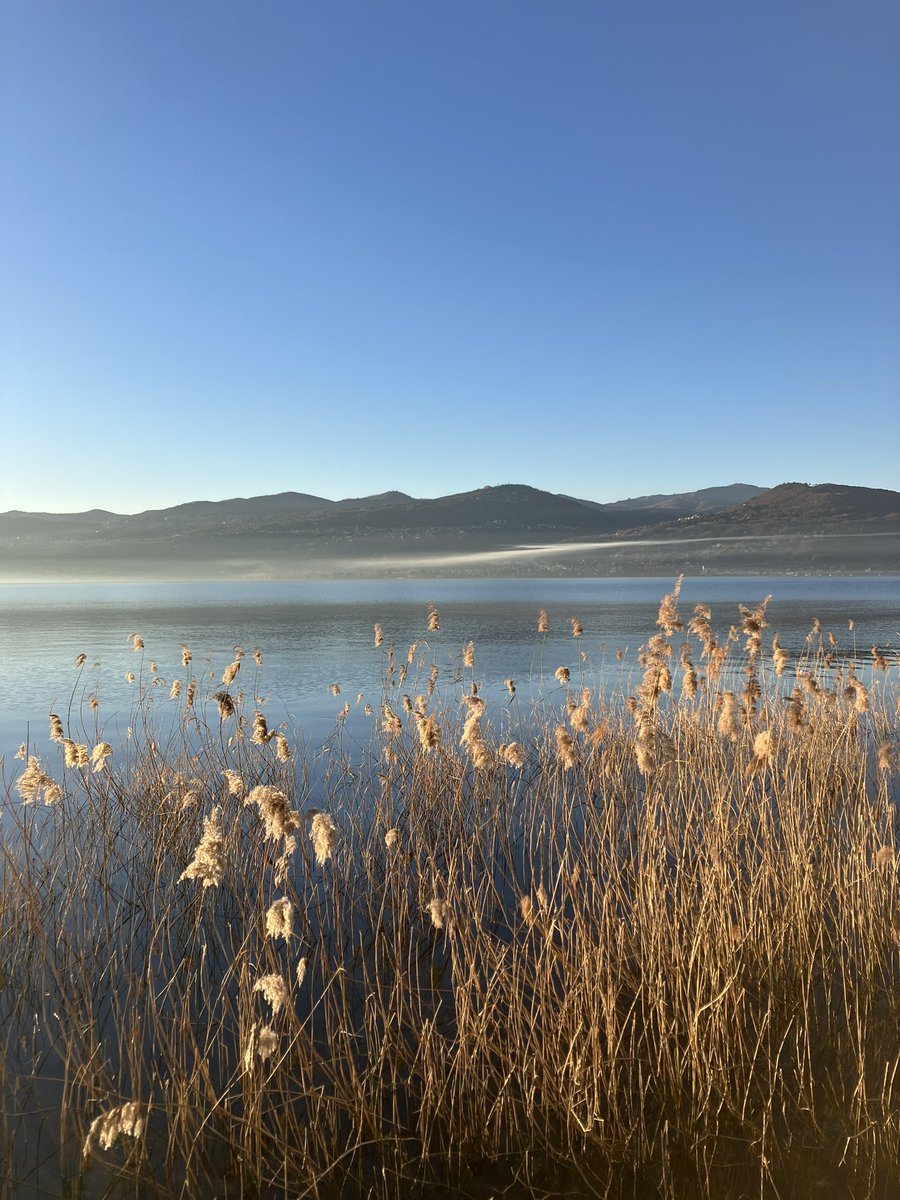 PrevotCecile's tweet image. Sérénité #LacMajeur #LagoMaggiore #Lombardia #Italia