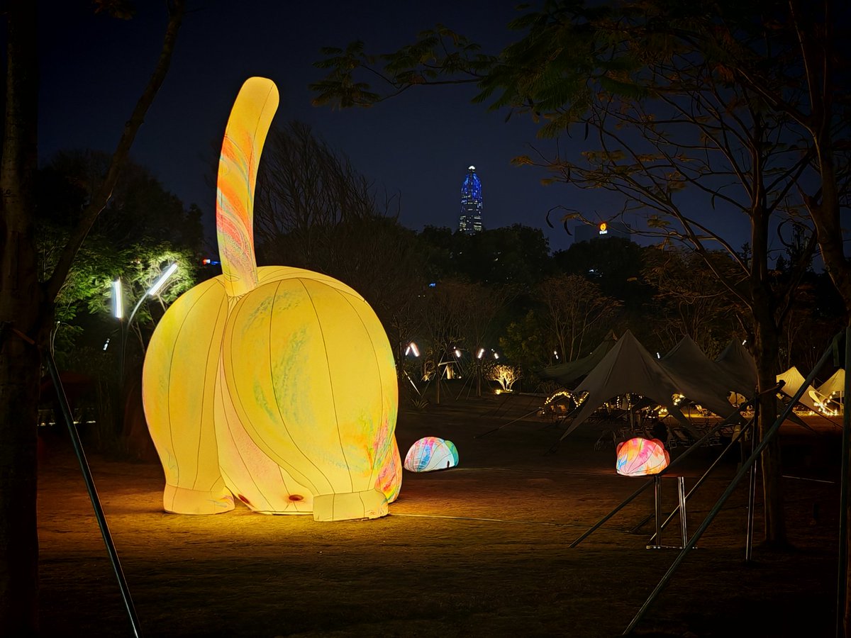 tks's tweet image. うーむスマホJPG一発のほうが撮れてるなあ
#Magic6Pro