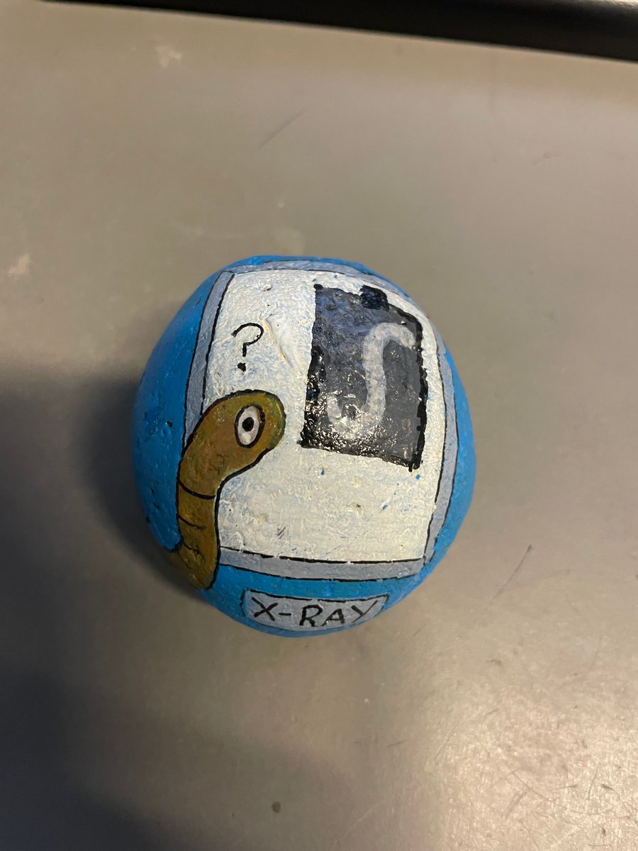 TraffLibraries's tweet image. We have made a discovery here at Urmston Library!! A lovely Lymm Rock! We are going to re-hide somewhere near the library! Let us know if you find it!
 #LymmRock #UrmstonLibrary #RockHiding