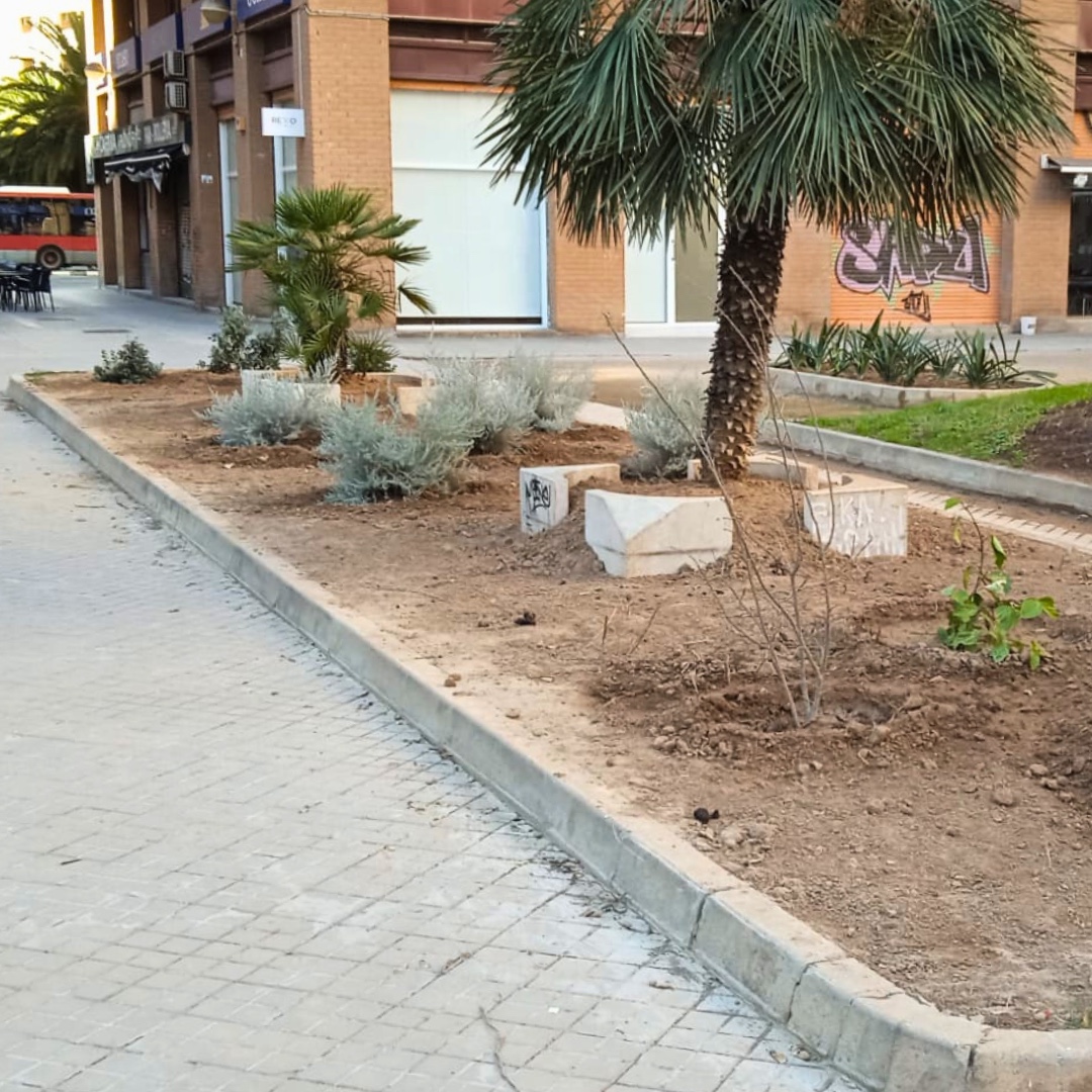 València Verda tweet media