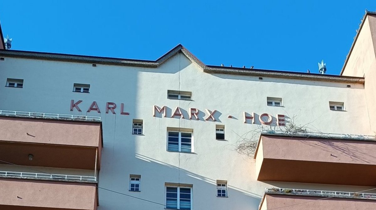 Kollege Schnürschuh tweet media