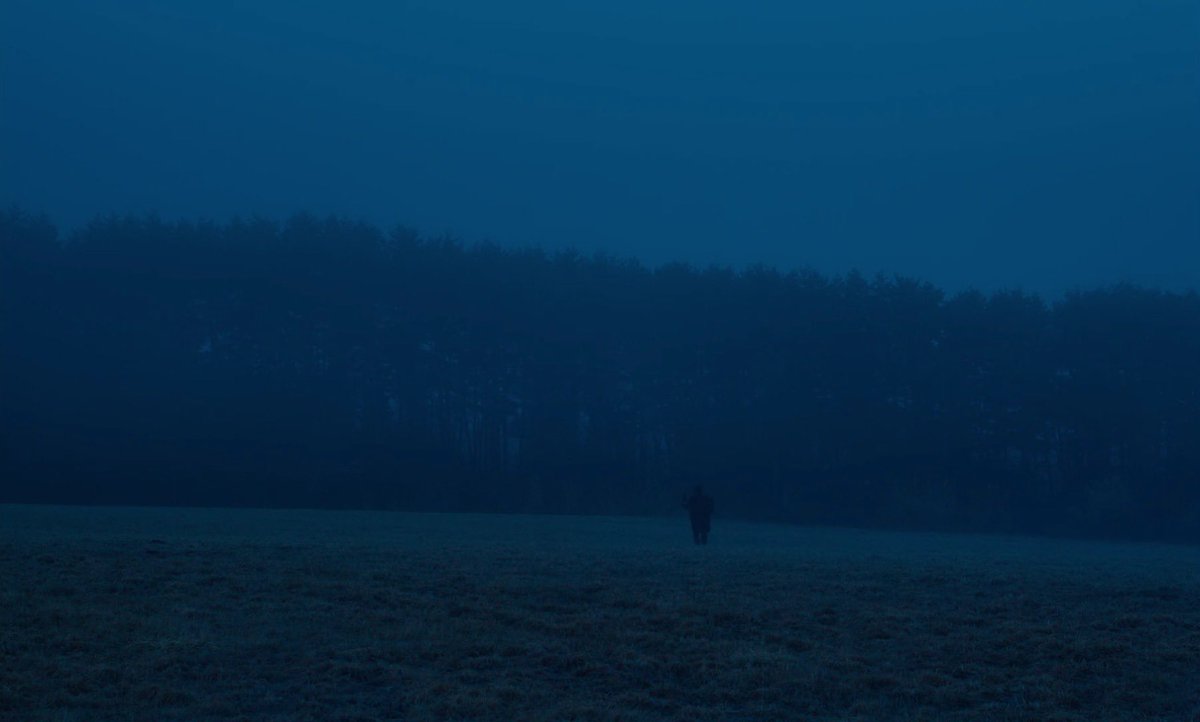 evil does not exist is such a stunning looking movie