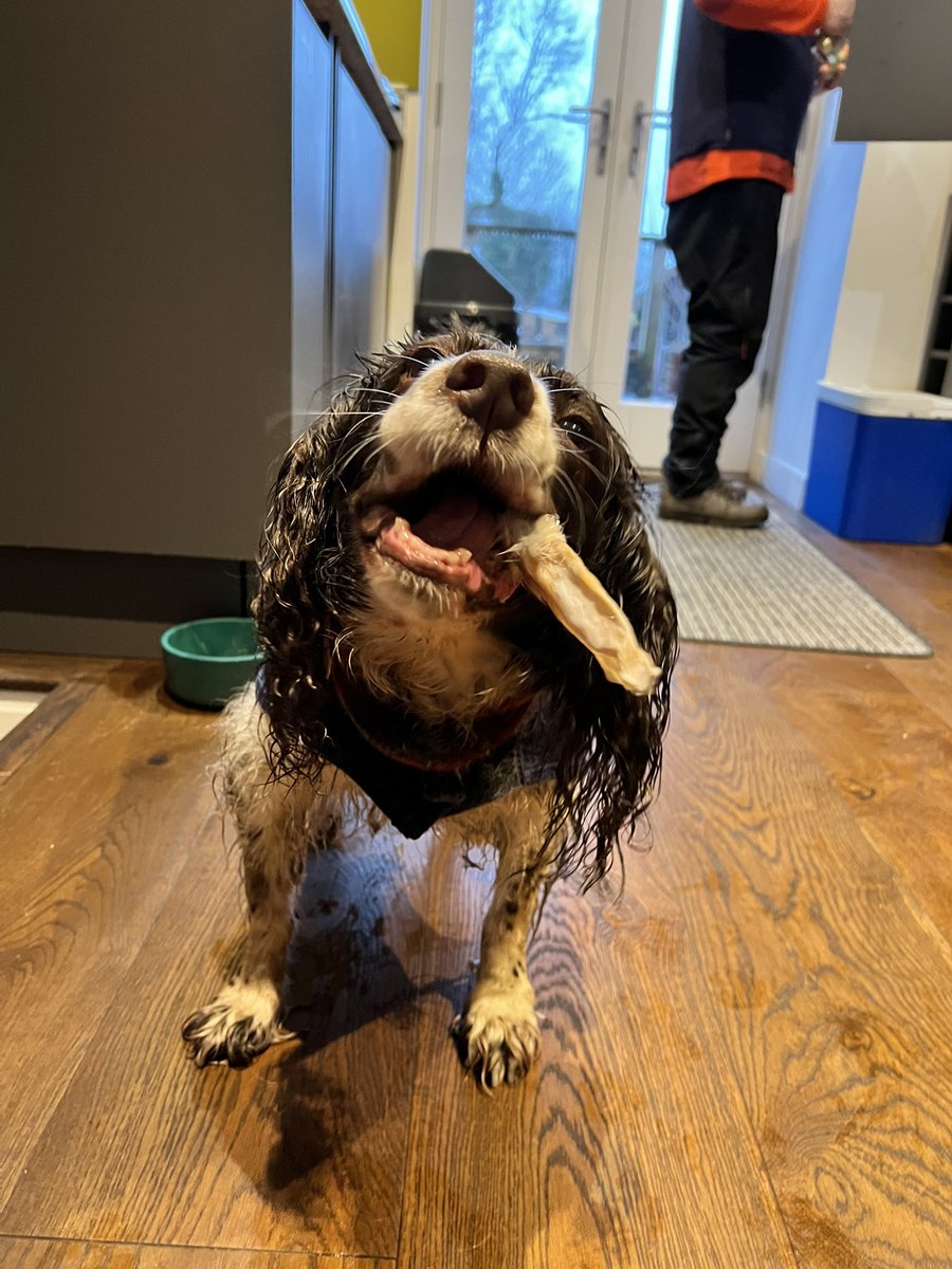 Anna Curnow tweet media