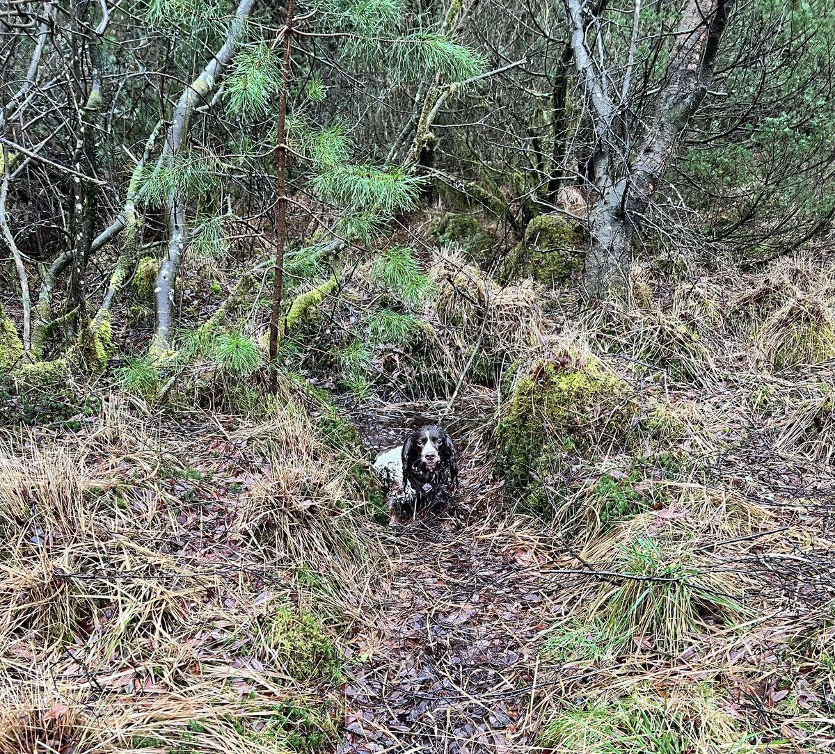 Anna Curnow tweet media