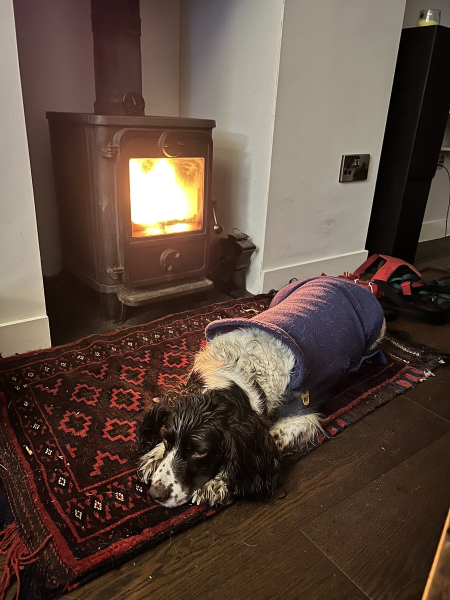 Anna Curnow tweet media