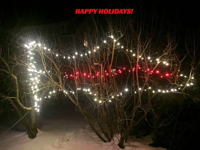 Happy New Year from One Fish Foundation! - mailchi.mp/fdc507a74f08/w…