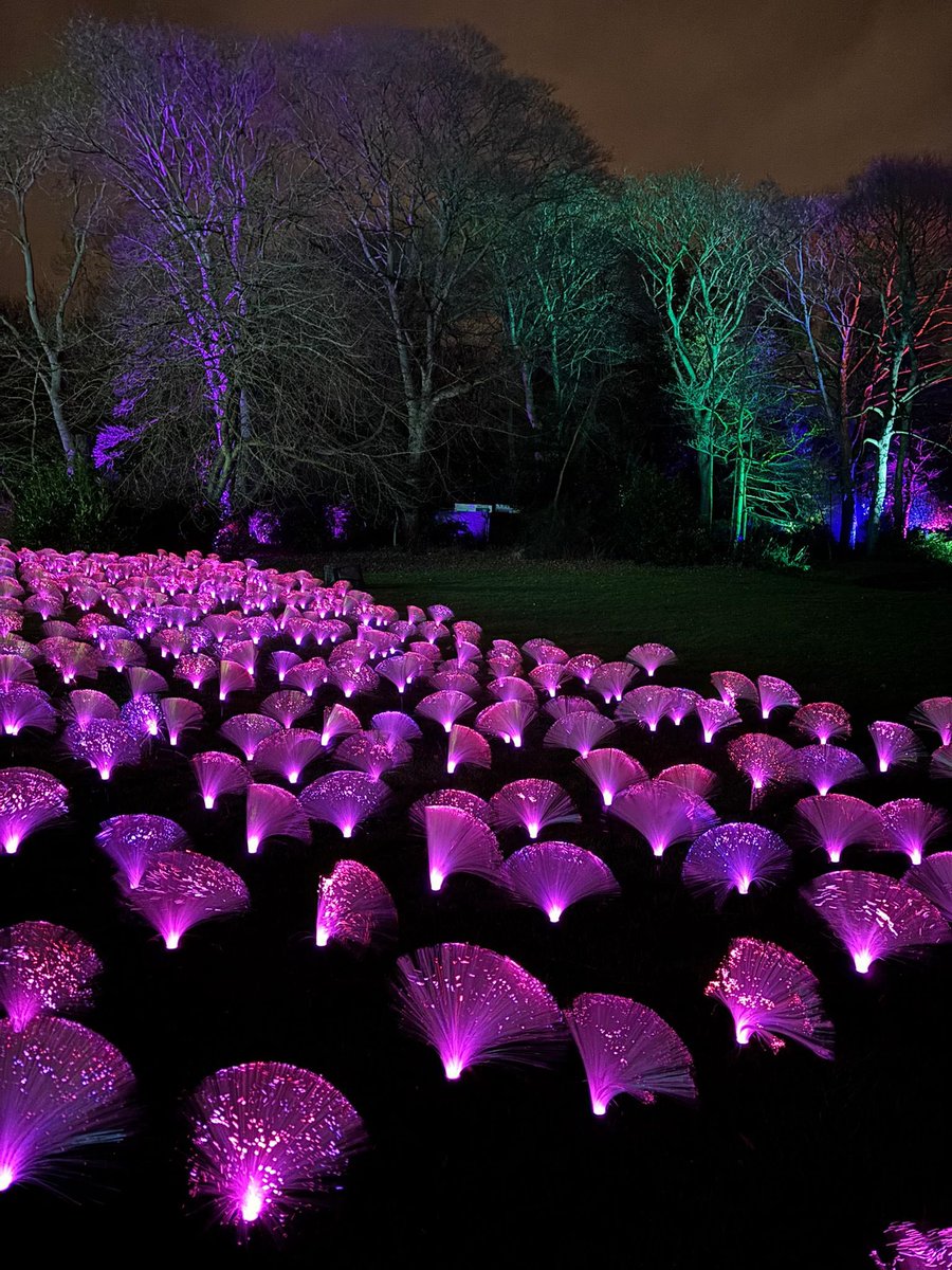 Emma (@emsbehappy) on Twitter photo Last night was pretty perfect, chilled walk around Leazes Park seeing the fantastic <a href="/LightsNewcastle/">Northern Lights</a> we toasted marshmallows and drank hot chocolate 🫶🏼🫶🏼 #itsthelittlethings #happydays #Christmas2024 Last night was pretty perfect, chilled walk around Leazes Park seeing the fantastic <a href="/LightsNewcastle/">Northern Lights</a> we toasted marshmallows and drank hot chocolate 🫶🏼🫶🏼 #itsthelittlethings #happydays #Christmas2024
