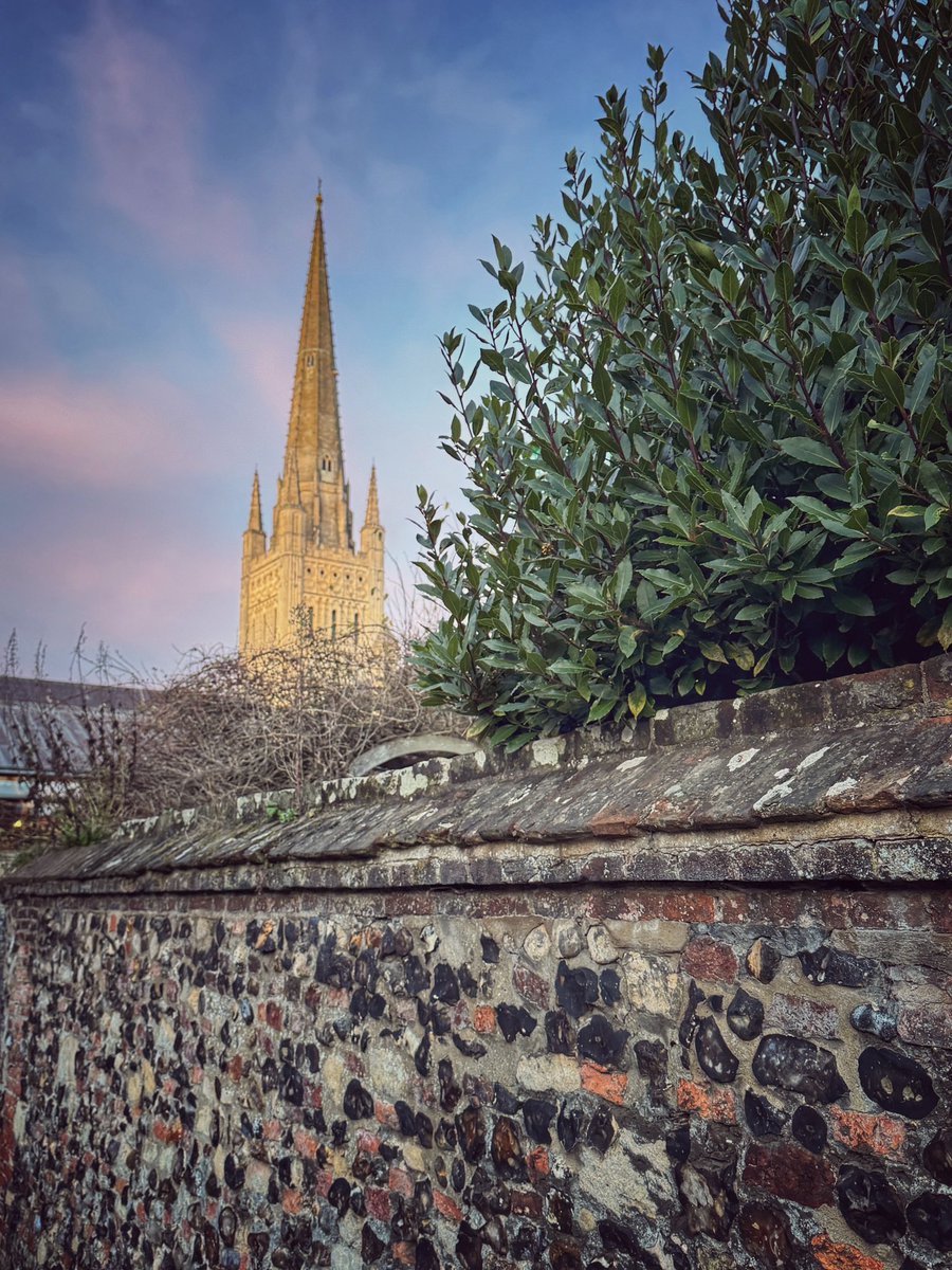 Pinky hues at <a href="/Nrw_Cathedral/">Norwich Cathedral</a> #Norwich