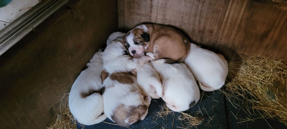 Ridiculously excited and can barely wait.  Coming soon to <a href="/RuralRetreatFr/">Rural Retreat France</a>. (The one on the top of the pile!) ...