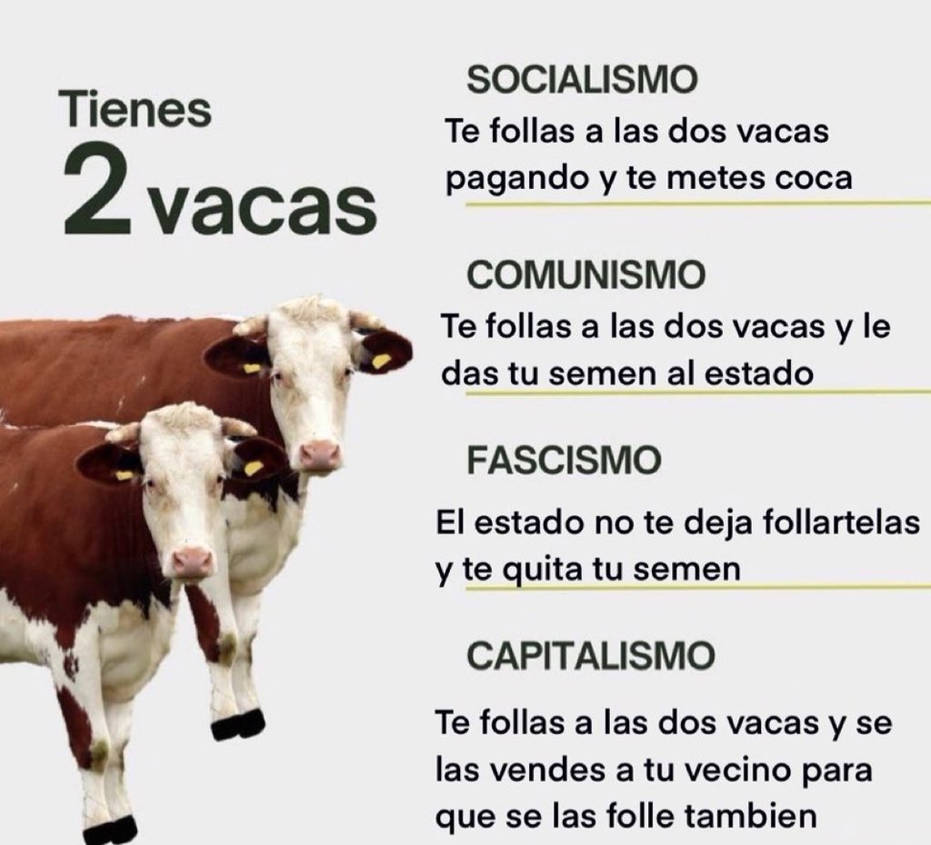 ladomingonetta's tweet photo. @vismundvega https://t.co/mTmhodSjeE