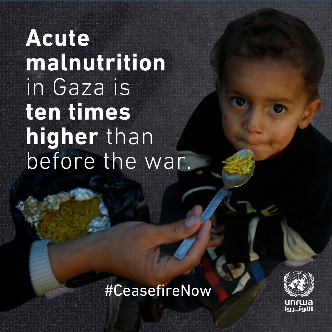 UNRWA's tweet image. In #Gaza, 80% of households have at least one child going without food. Over 96% of children and pregnant/breastfeeding women aren’t getting enough nutrition, @‌UNICEF reported  in November.

Relief through a #CeasefireNow and a standard flow of basic supplies.