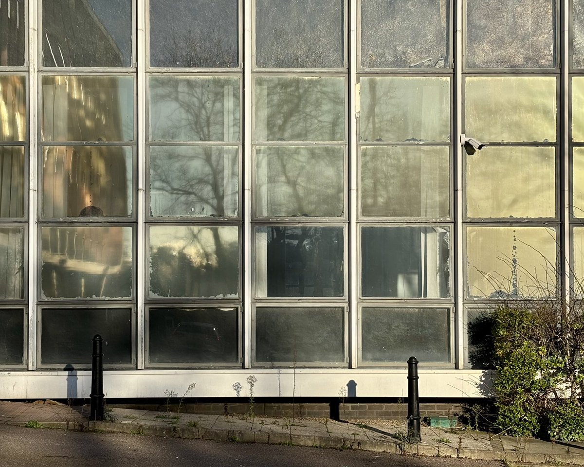 David Rowan tweet media