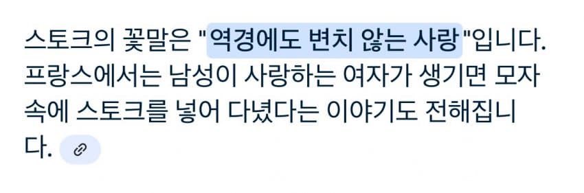 권지용이 가요대전 방청 온 팬들한테 준
꽃다발에 꽃 데이지랑 스토크라는데
꽃말이ㅠㅠ “평화, 희망, 겸손한 아름다움”
“역경에도 무너지지 않는 영원한 사랑”
#GDRAGON