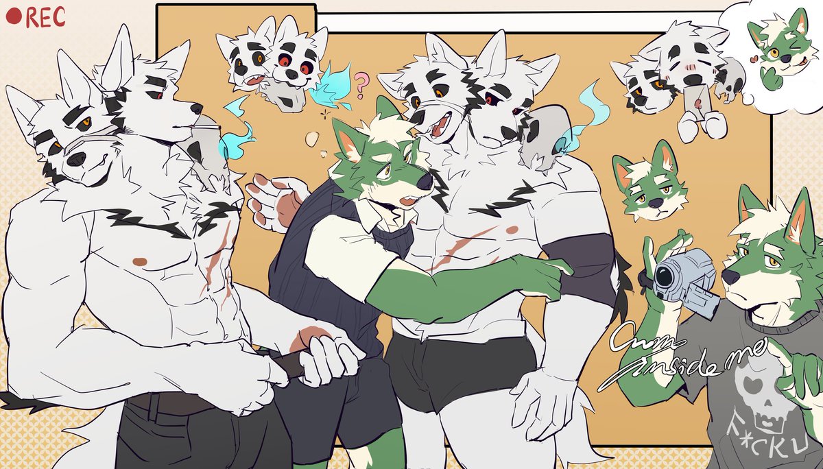 澜坤 (@handarkdog) on Twitter photo 