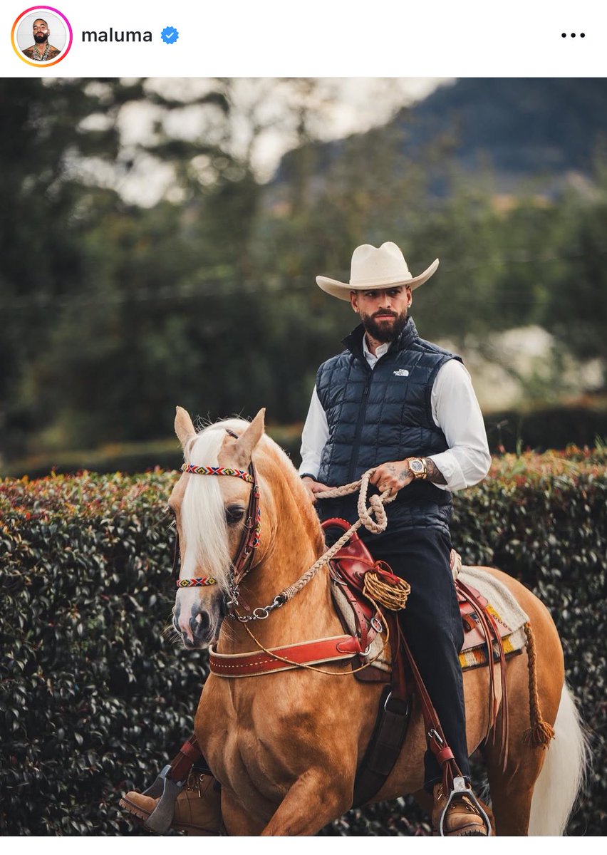 marisgmt's tweet image. Perdone mami disculpe????????