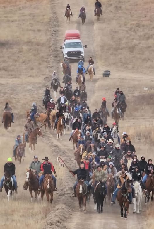 HaidaPrincess's tweet photo. ๐ชถ๐๐พ'๐Horse Nation. Omaka Tokatakiya / Future Generations ๐Ride 2024'
(#Photo: Eddie Spencer. Dec 29, 2024)
๐ชถ๐ชถ๐#FutureGenerationsRide #Woundedknee #NativeAmericans #Indigenous https://t.co/UnStsZiheF