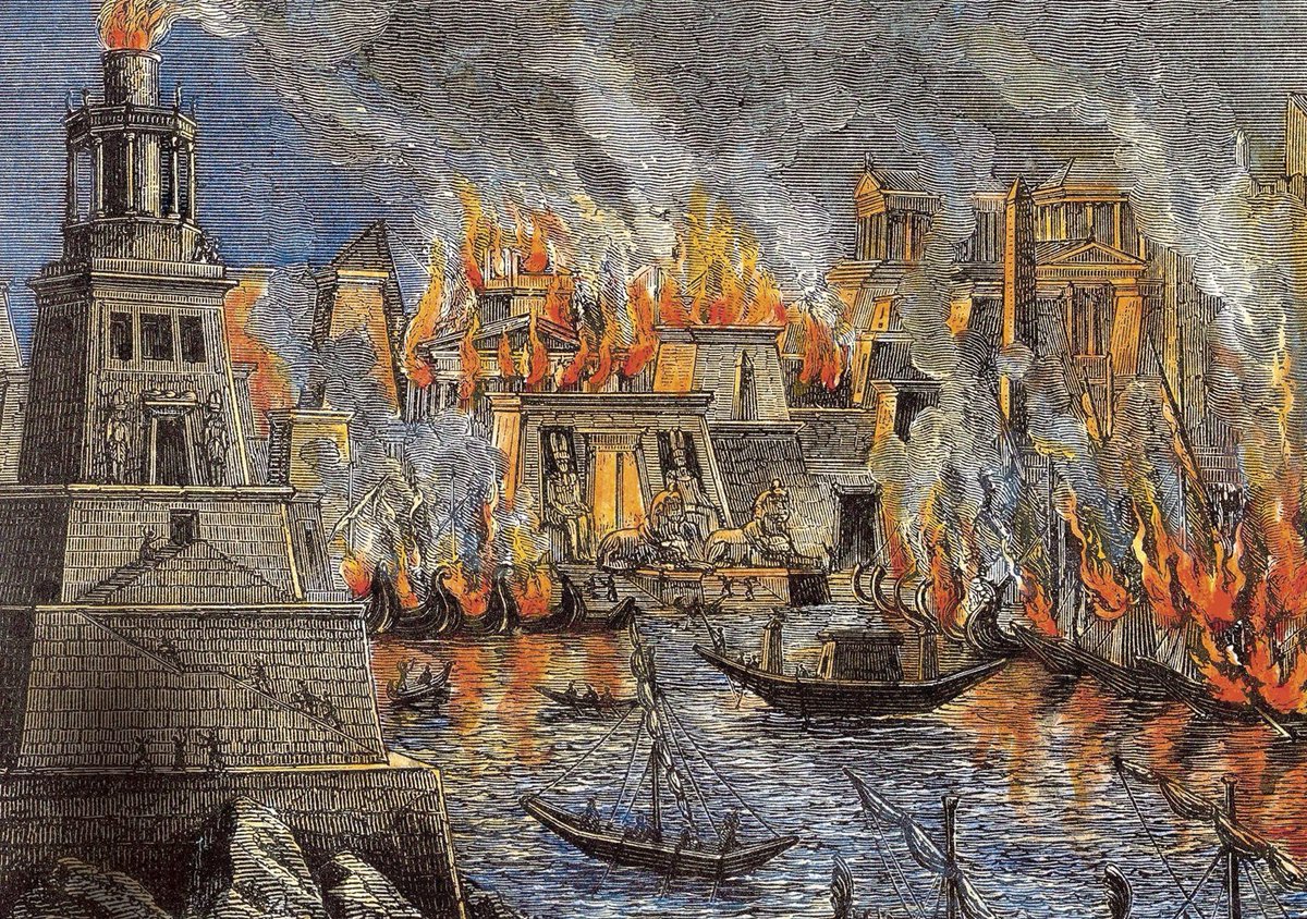 Space Koala tweet media