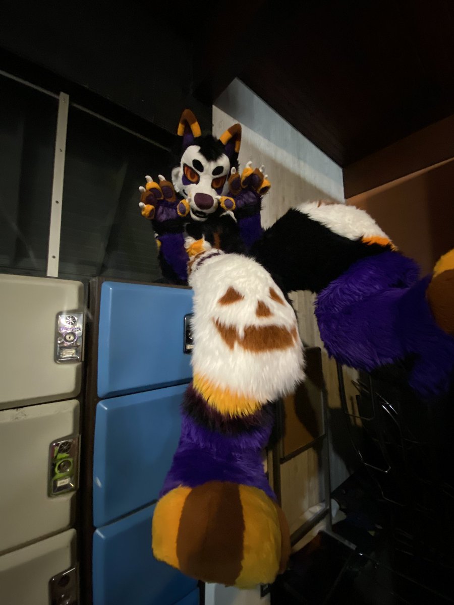 Hallow (@hallowjackal) on Twitter photo 