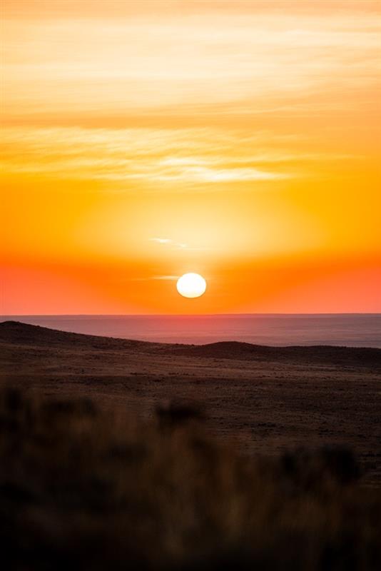 Grasslands are the “lungs of the earth,” vital for wildlife like mule deer &amp; for ranching communities. The North American Grasslands Conservation Act aims to protect these ecosystems. Learn how it supports conservation and livelihoods: muledeer.org/news/the-north…