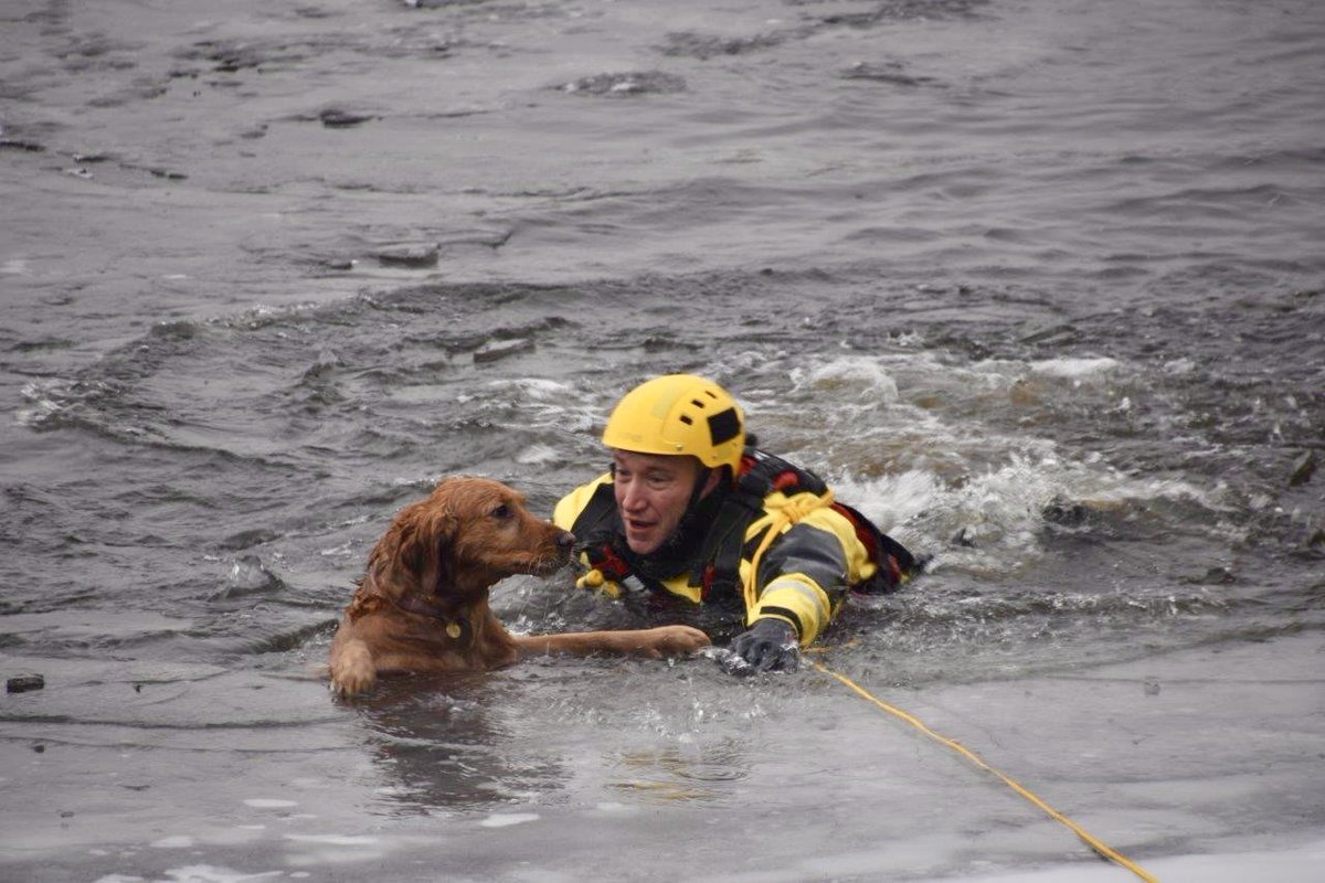 OttFire's tweet photo. Our Ice Rescue Teams successfully rescued a dog who went through the ice and was unable to get out this afternoon near the Blair Rd Boat Launch. 

At approx. 14:55, the Ottawa Fire Services Communications Division received a 9-1-1 call from the dog’s owners who reported that dog was at the end of the ice shelf in the water and unable to get out near the 300 block of Blair Rd. Upon arrival, our Ice Rescue Teams confirmed the dog was approx. 30ft from shore and struggling to keep its head above water. Our Ice Rescue Technicians quickly set up for the rescue and a rescuer made their way out to the dog with a fortuna. At 15:20, the dog, “Tika”, was rescued and safely back on land doing well.

Credit to the owners who did exactly what we always preach if this happens: Called 9-1-1 and stayed on land and didn’t try to make the rescue themselves. Our response times are fast and our Ice Rescue Teams are highly trained with the appropriate equipment. Doing this will always keep you safe and is your pet’s best chance for survival. #OttNews 

📸 OFS Photographer Jean Lalonde