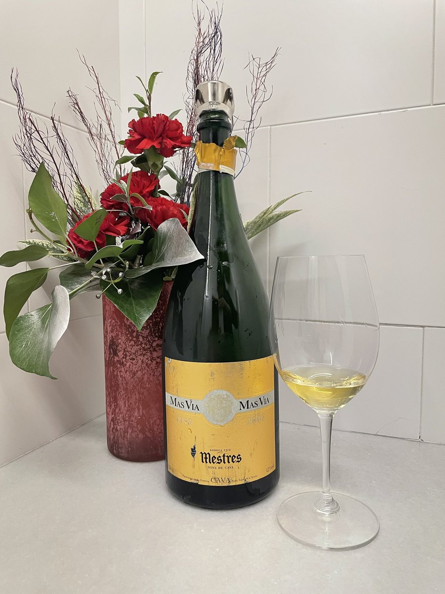 🥂 Mestres Mas Via 2002 - Gran Reserva Brut Nature

Con 22 años desde su cosecha, este cava combina historia y elegancia. Su color dorado y burbuja persistente destacan junto a aromas de bollería, frutos secos y cítricos. En boca, es cremoso, equilibrado y con un final largo.