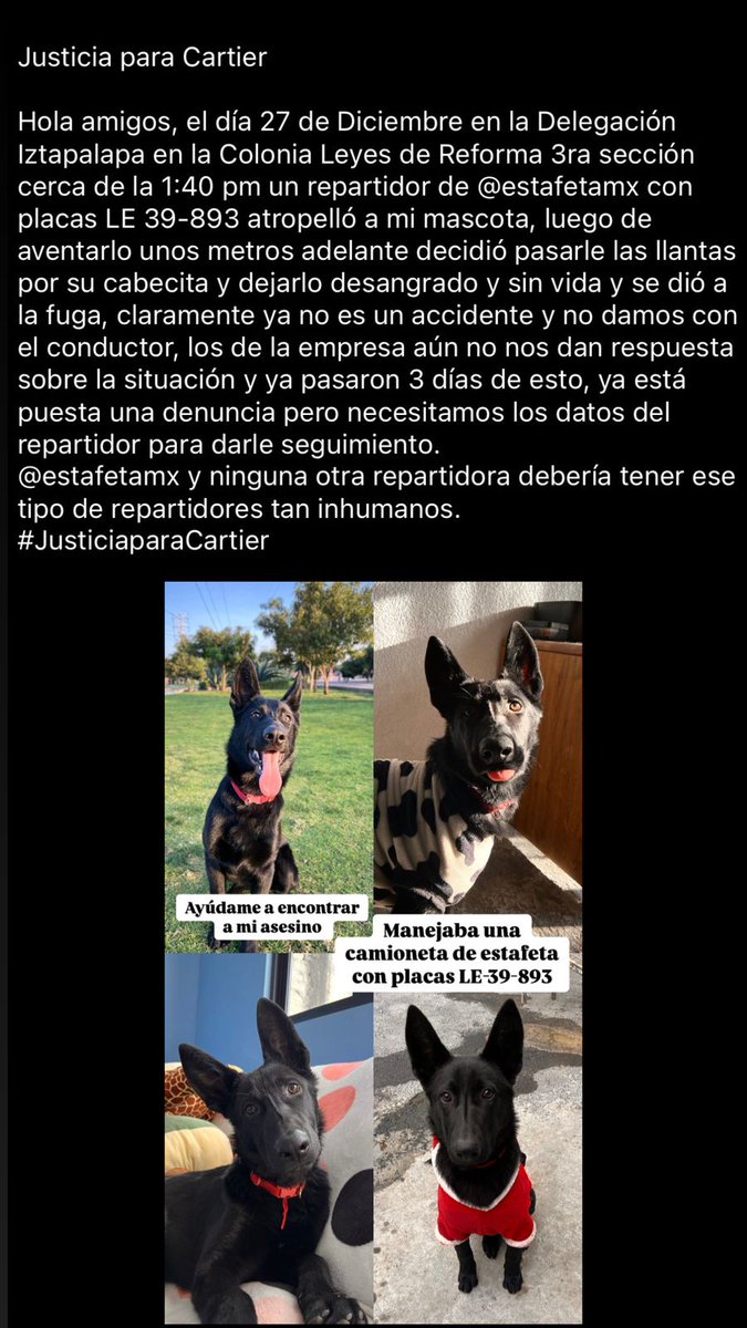 AranzaBuen56991's tweet photo. @estafeta  queremos una solución!! 
#JusticiaparaCartier https://t.co/81qWdxr63C