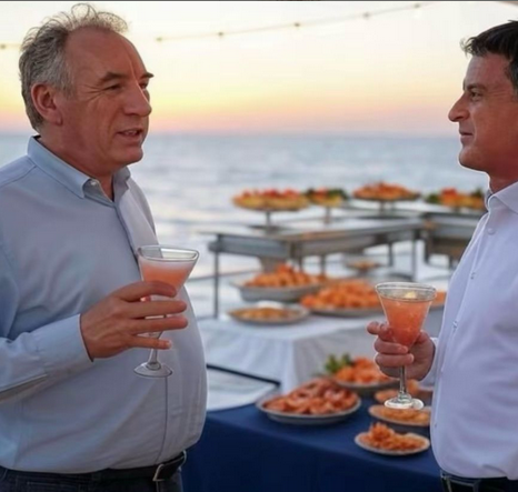 La visite à Mayotte se passe très bien. 
- À 10h00 excursion sur le terrain avec un panier froid
- À 18h00 soirée cocktail et 
- Demain, retour à la Réunion (pas celle du Pacifique) 
Ils font vraiment le job 👏 et c’est pourquoi les 🇫🇷 Français vous admirent certainement tant.